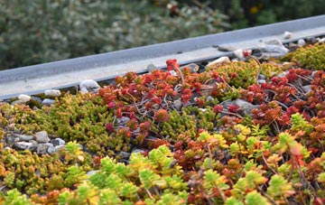 the cost of Nethy Bridge green roof installation