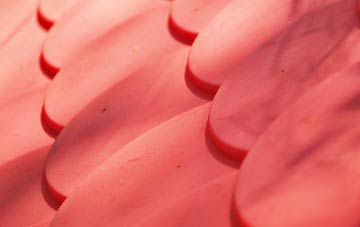 Nethy Bridge plastic roof costs