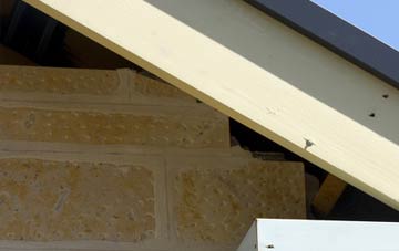 soffit repair Nethy Bridge