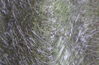 Nethy Bridge fibreglass roof work